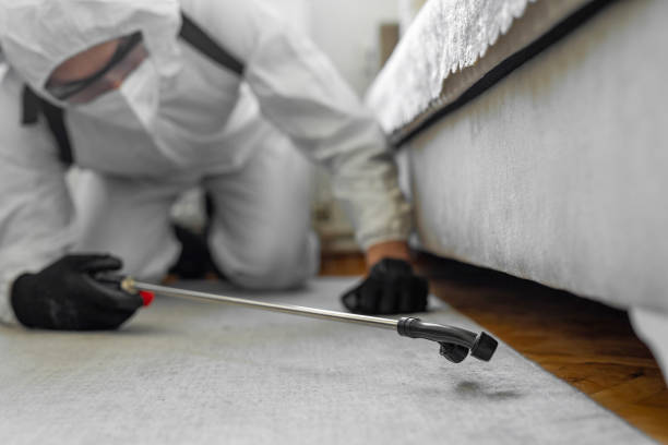 Professional Bed Bug Control technician working in Onondaga County County, NY